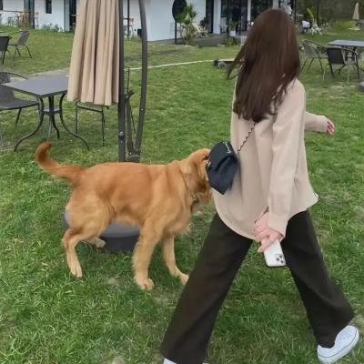 忆梦记